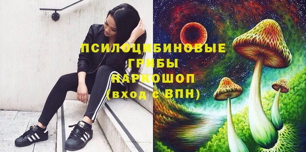 сатива Ладушкин