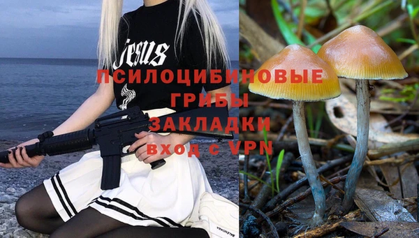 сатива Ладушкин