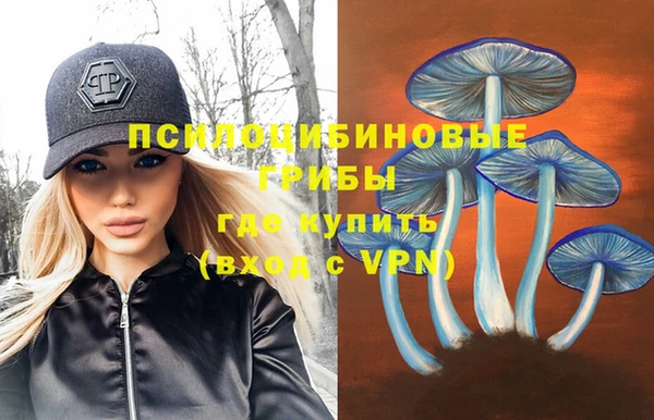 сатива Ладушкин