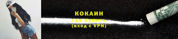 сатива Ладушкин