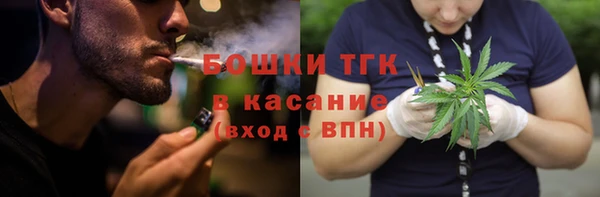 сатива Ладушкин