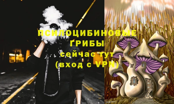 сатива Ладушкин