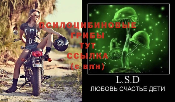 mix Лабытнанги