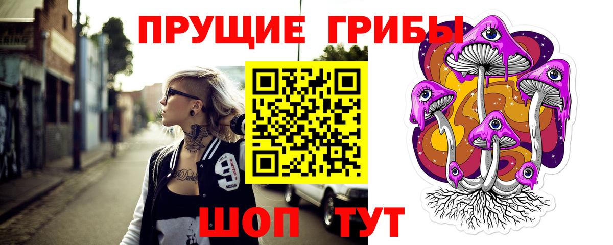 Псилоцибиновые грибы мицелий  Псилоцибиновые грибы Psilocybe  Чернушка  Вход с VPN 
